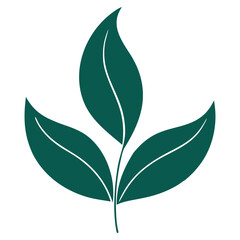 Abstract Organic Plant Shape