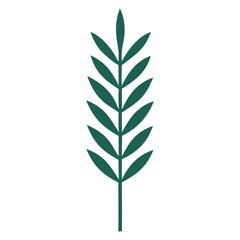 Abstract Organic Leaf Shape