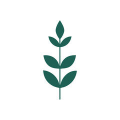 Abstract Organic Leaf Shape