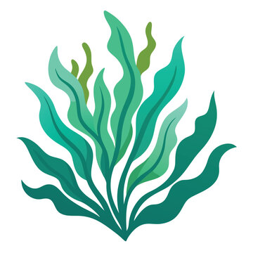 Seaweed Vector Illustration Isolated on White Background for Graphic Design and Nature Themes