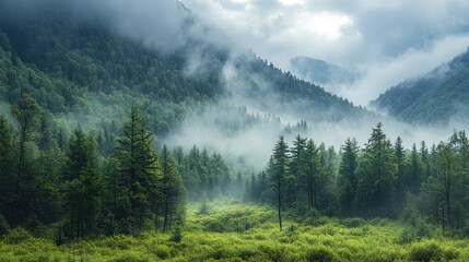 Fototapeta premium Serene misty mountain landscape with lush green forests