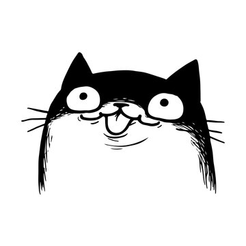 Funny Cat Face