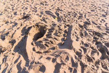 Mini Crocodiles made of Sand in Baker Beach in San Francisco