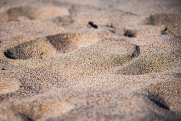 Beach Sand Landscape from Baker Beach 