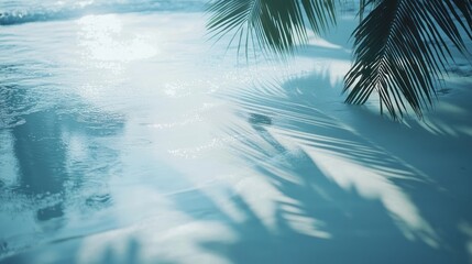 Tranquil beach scene with palm fronds casting shadows on the sand.