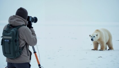 Photographer capturing polar bear on snowy landscape