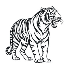 Fototapeta premium Web