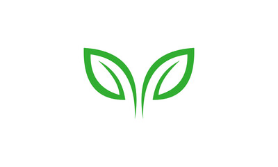 green leaf isolated on white background