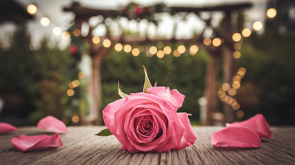 Romantic Pink Rose with Blurred Background and Fairy Lights