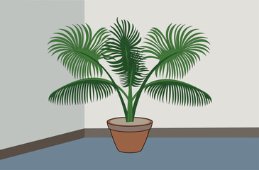 Fototapeta premium Indoor palm plant in a terracotta pot - decorative tropical foliage for modern home or office decor