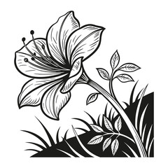 Abstract floral design element white illustration black and white lily