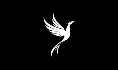 phoenix design 