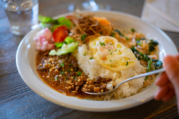 二色のインドカレー