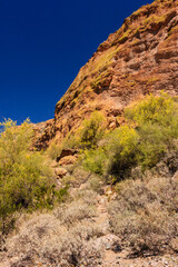 A rocky hillside with a few trees and a blue sky