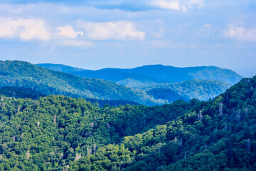 Obraz premium The mountains are covered in lush green trees and the sky is a bright blue