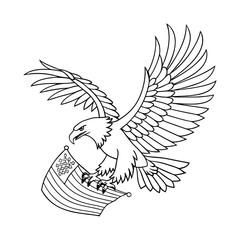 Bald eagle in flight isolated on white background with flog