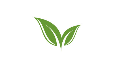 green leaves vector