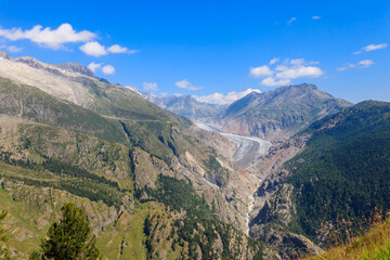Fototapeta premium Scenic view on Great Aletsch Glacier in Valais canton, Switzerland. View from Belalp village