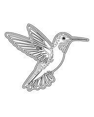 Fototapeta premium Hummingbird printable coloring page for kids, bird coloring book