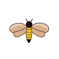 bee on white background