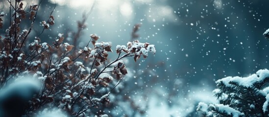 Winter Wonderland Forest Scene Featuring Snowy Shrubs and Natural Copy Space for Text Overlay