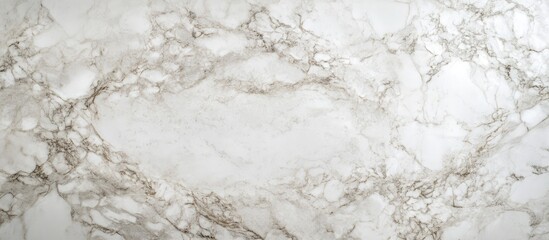 Fototapeta premium Fresh vegetarian pizza on a marble surface with blank space for text ideal for menu designs or promotional materials