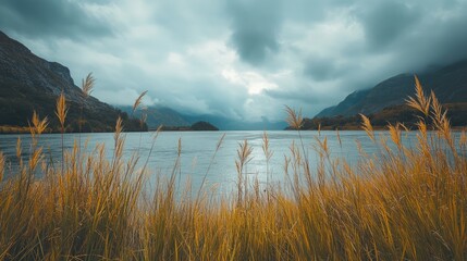 Obraz premium Serene River Landscape with Lush Wild Grasses and Dramatic Cloudy Sky Overlooking Mountains and Calm Water
