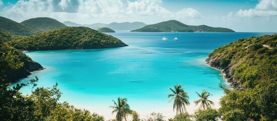 Fototapeta premium Caribbean island paradise featuring turquoise water, lush greenery, and palm trees creating a serene tropical landscape for tranquil backgrounds