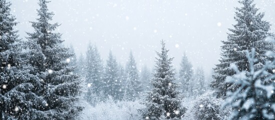 Fototapeta premium Serene winter forest with snow-covered fir trees and gentle snowfall creating a peaceful atmosphere for text overlay and seasonal designs