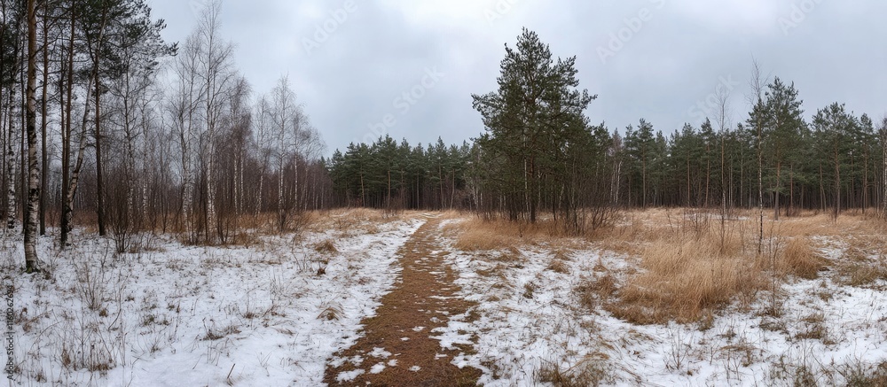 Poster serene winter forest path with cloudy skies and snowy ground ideal for text overlay background in na