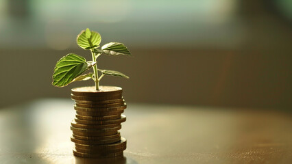 stack of golden coins with plant sprout, symbolizing growth, investment and financial success