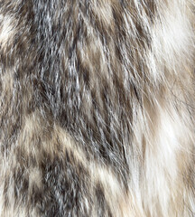 A close up of a fur coat with a white and brown color