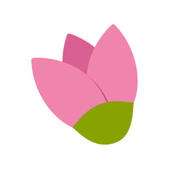 Pink flower isolated on transparent and white background. Rosebud. Close-up element for mother's day and valentine's day design decoration. Vector illustration. Plant for birthday and wedding.