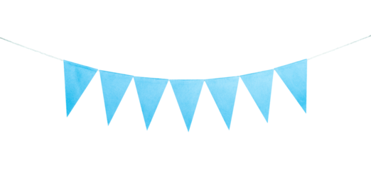  Blue flag party border on white 