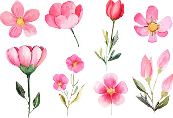 pink and white flowers