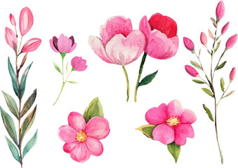 bouquet of pink tulips