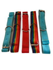 Dog Collar Dog Belt
