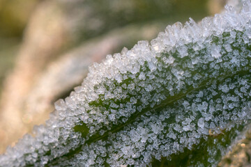 abstract frost close up