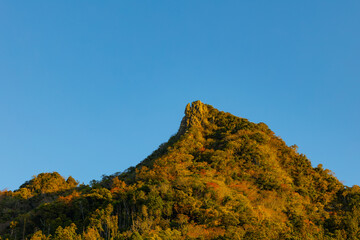 伊予ヶ岳の朝焼け