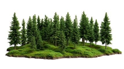 Isolated Evergreen Forest Island Lush Green Coniferous Trees