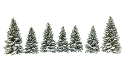 SnowCovered Evergreen Trees Winter Forest Conifer Row Nature