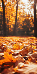 Golden autumn leaves scattered on forest floor during vibrant fall season : Generative AI