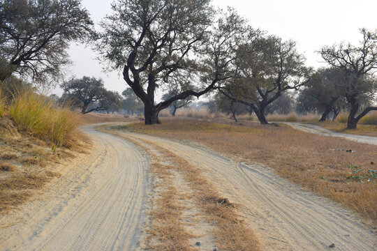 Green grass grow on center dirt way, Dry Road like Desert Mud in Summer Time Sunny Weather with Mian hadi baba, Beautiful autumn landscape in the steppe. Yellow trees and grass. Blue sky. Country road