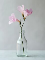Pink Flowers on Table