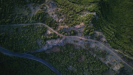 Mountain Trail Through Dense Forest