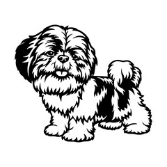 Shih Tzu Dog Breed - Pet Vector Cut file, Dog Silhouette Stencil - Cricut file