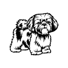 Shih Tzu Dog Breed - Pet Vector Cut file, Dog Silhouette Stencil - Cricut file