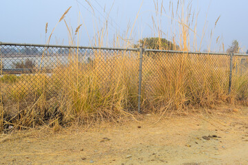 Wild Weeds Growing Beside the Iron Fence, Field with a large wire fence,Dangerous area fenced with...