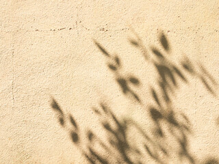 Beige background shadow greadation flower peach nude color gradient pastel abstract leaves pattern blur marble, mockup aesthetic wallapaper valentine sele presentation card overlay summer backdrop.