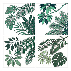 Tropical Leaf Illustrations